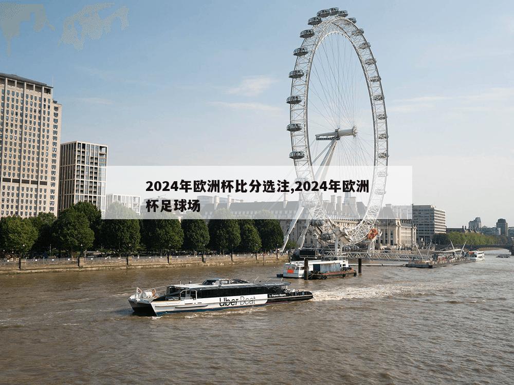 2024年欧洲杯比分选注,2024年欧洲杯足球场